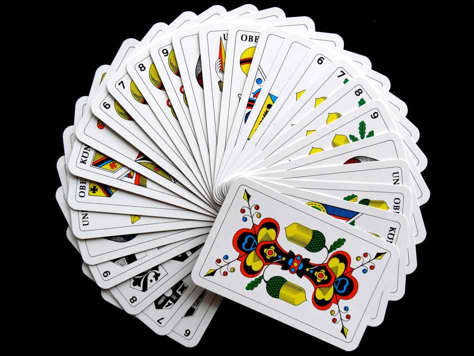 Wildsino 2026 Wildsino 2026